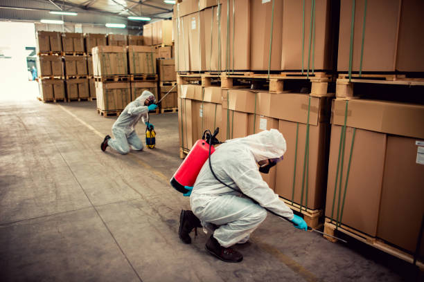 Best Affordable Pest Control Services  in Greenville, SC