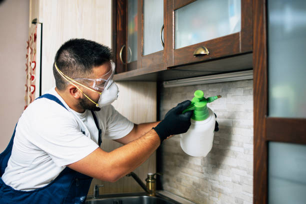 Best Mosquito Control Services  in Greenville, SC