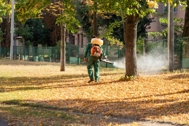 Best Pest Removal Services  in Greenville, SC