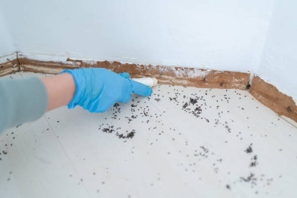 Best Wildlife Control Services  in Greenville, SC